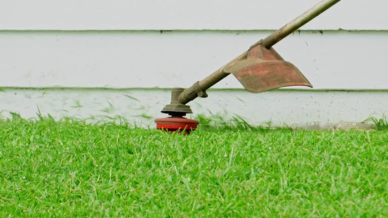 Best Lawn Maintenance Plans  in USA